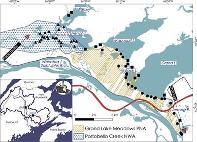 The Beautiful and the Dammed: Defining Multi-Stressor Disturbance Regimes in an Atlantic River Floodplain Wetland